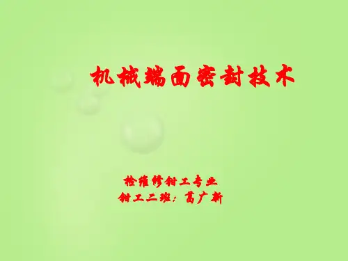 机械端面密封
