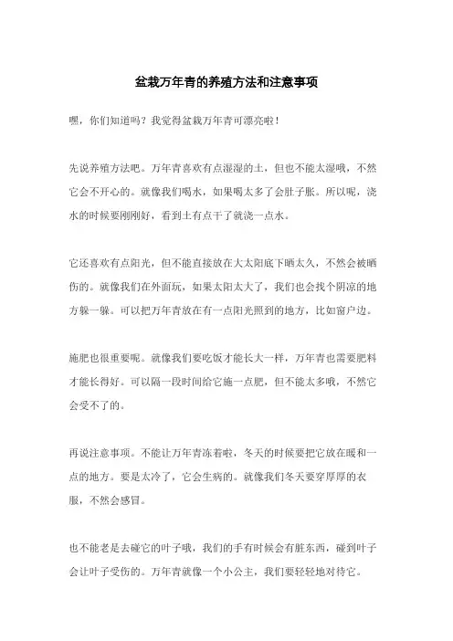 盆栽万年青的养殖方法和注意事项