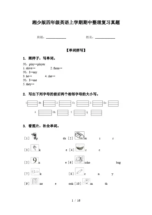湘少版四年级英语上学期期中整理复习真题