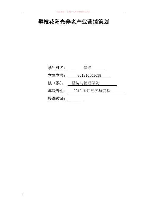攀枝花阳光养老产业营销策划