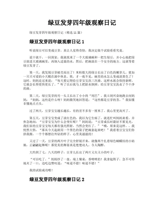 绿豆发芽四年级观察日记
