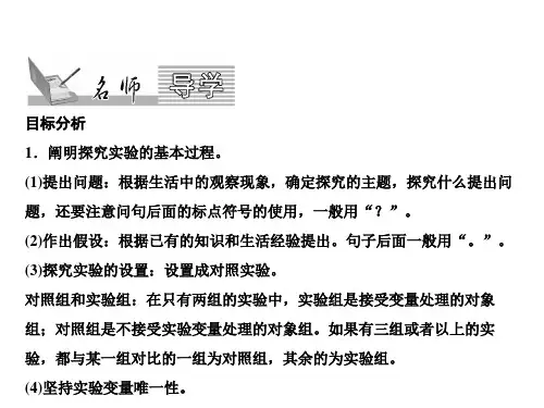 新人教版生物七年级上册课件：第3单元 第2章 第1节 第1课时 种子萌发的环境条件