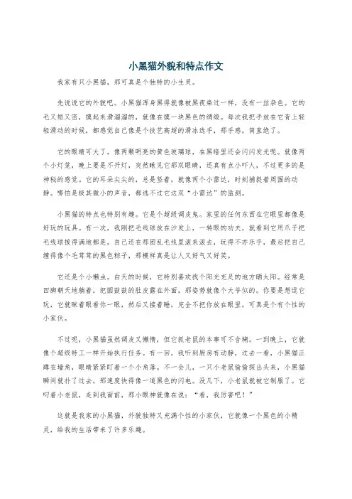 小黑猫外貌和特点作文