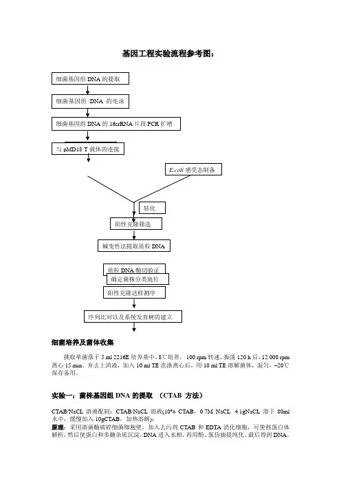 细菌培养及菌体收集