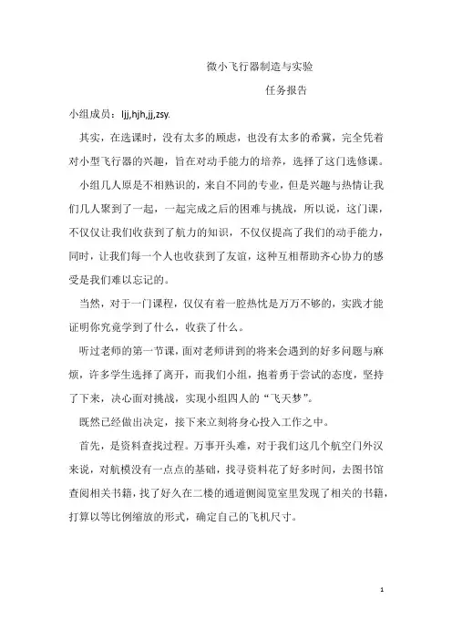 微小飞行器制造与试验任务报告