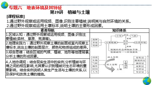高考地理一轮复习课件 第21、22讲：土壤、植被与自然环境整体性