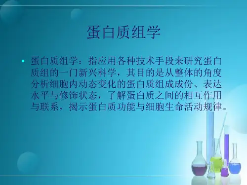 二维电泳_PPT幻灯片