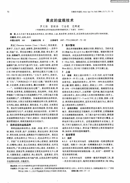 黄皮的盆栽技术