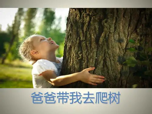 北师大版六年级下语文《 爸爸带我去爬树》(共19张PPT)