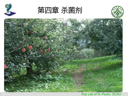 杀菌剂PPT课件