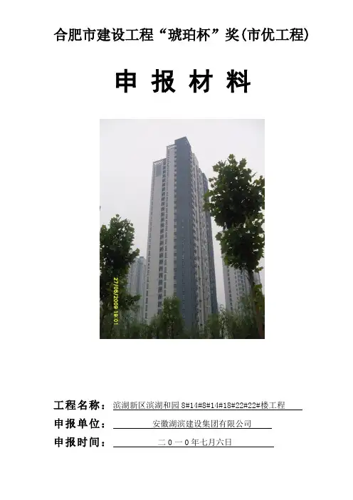 合肥市建设工程“琥珀杯”奖(市优工程)申报材料(完整)