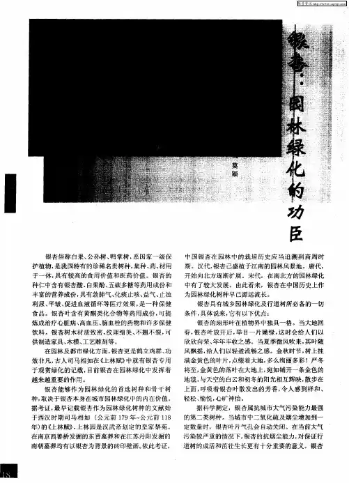 银杏：园林绿化的功臣