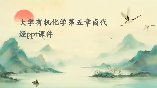 大学有机化学第五章卤代烃PPT课件