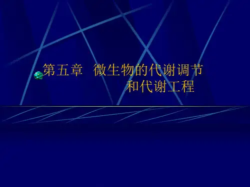 第五章 微生物工程的代谢调节和代谢工程