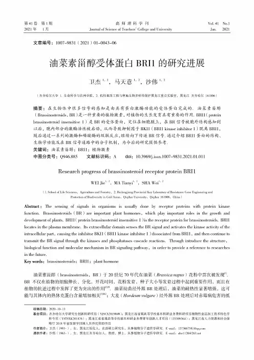 油菜素甾醇受体蛋白BRI1的研究进展