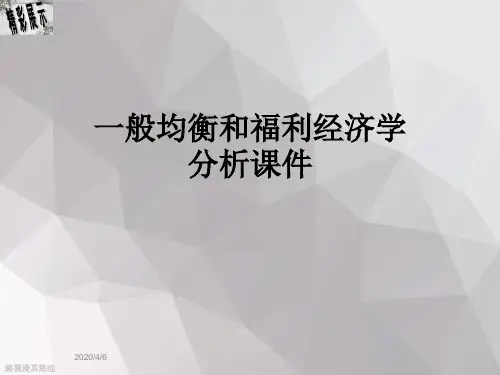 一般均衡和福利经济学分析课件