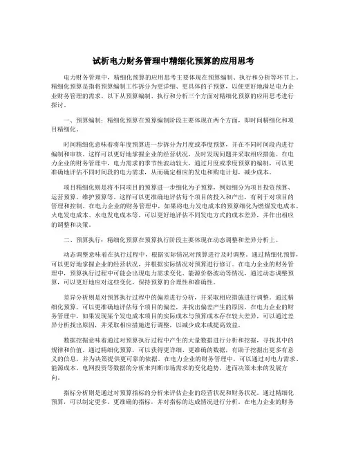 试析电力财务管理中精细化预算的应用思考