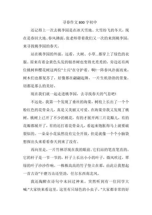 寻春作文800字初中