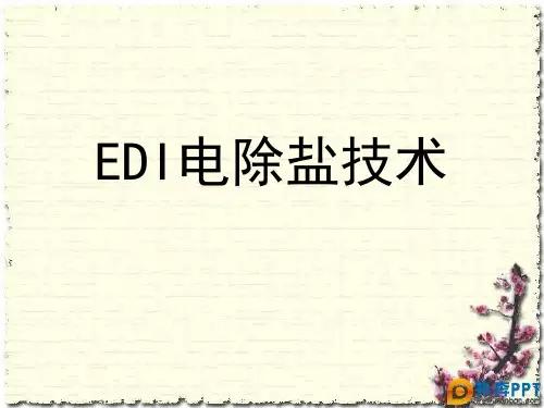 EDI电除盐