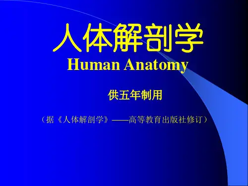 人体解剖学骨学