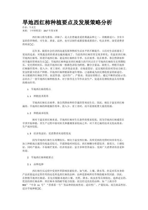 旱地西红柿种植要点及发展策略分析