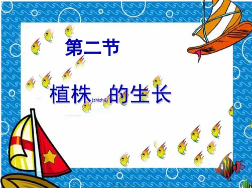 七年级生物上册《第三单元第二章第二节植株的生长》