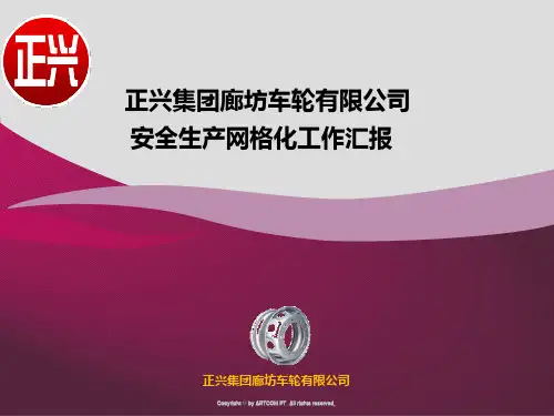 网格化工作汇报 PPT课件