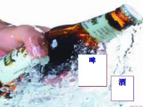 青岛国际啤酒节策划方案PPT课件( 29页)