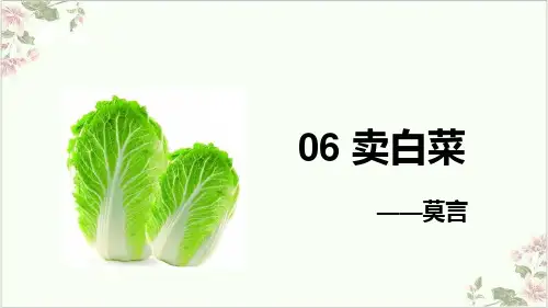 人教版七年级语文上册第二单元6卖白菜课件34张