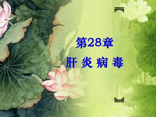 5第28章 肝炎病毒
