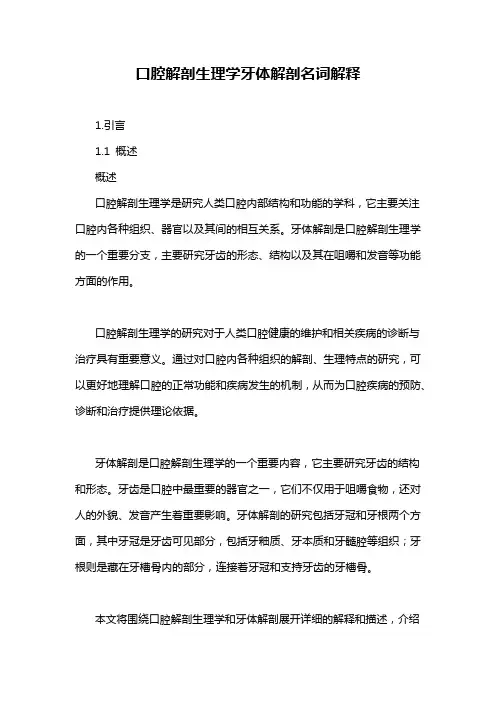 口腔解剖生理学牙体解剖名词解释