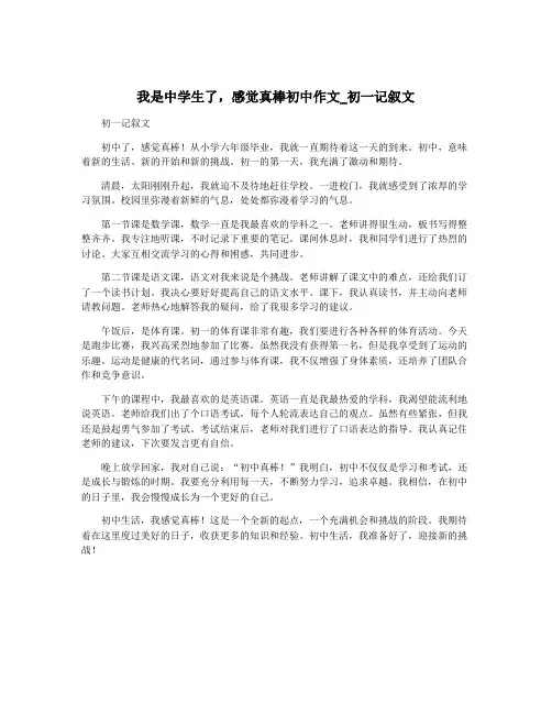 我是中学生了,感觉真棒初中作文_初一记叙文