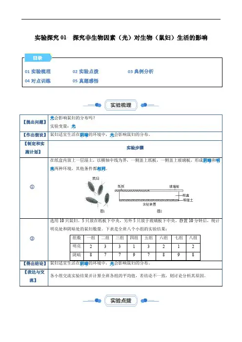 实验探究01  探究非生物因素(光)对生物(鼠妇)生活的影响(解析版)
