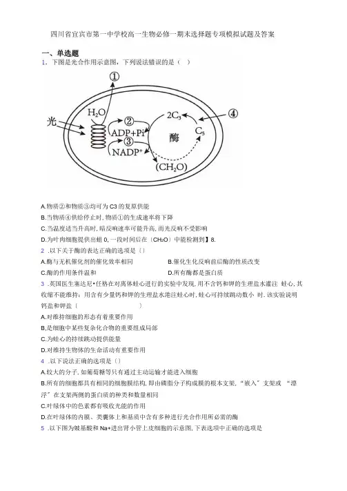四川省宜宾市第一中学校高一生物必修一期末选择题专项模拟试题及答案