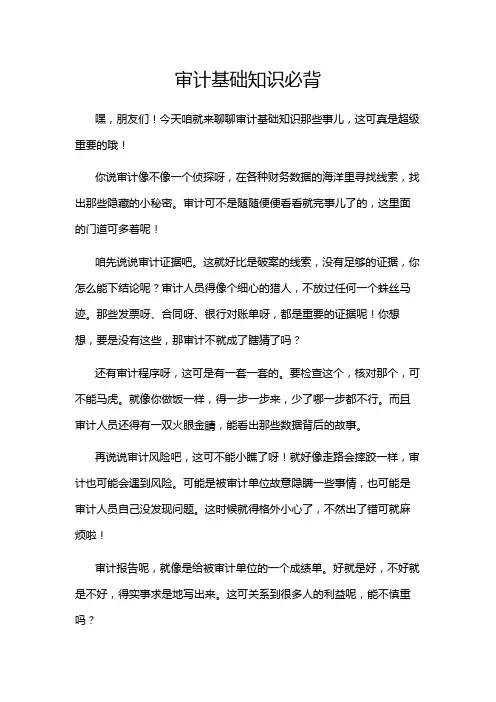 审计基础知识必背