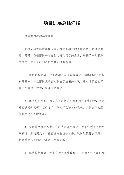 项目进展总结汇报