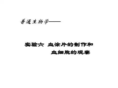 血涂片制作