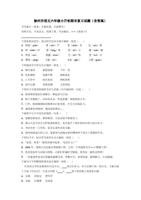 徐州市语文六年级小升初期末复习试题(含答案)