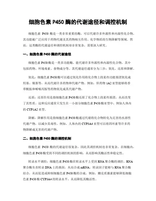 细胞色素P450酶的代谢途径和调控机制