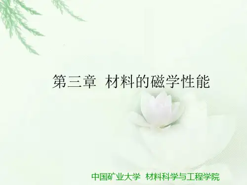 技术磁化