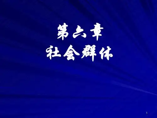 6章社会群体
