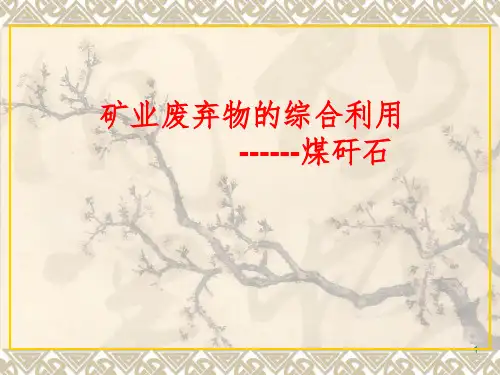 煤矸石综合利用技术PPT课件
