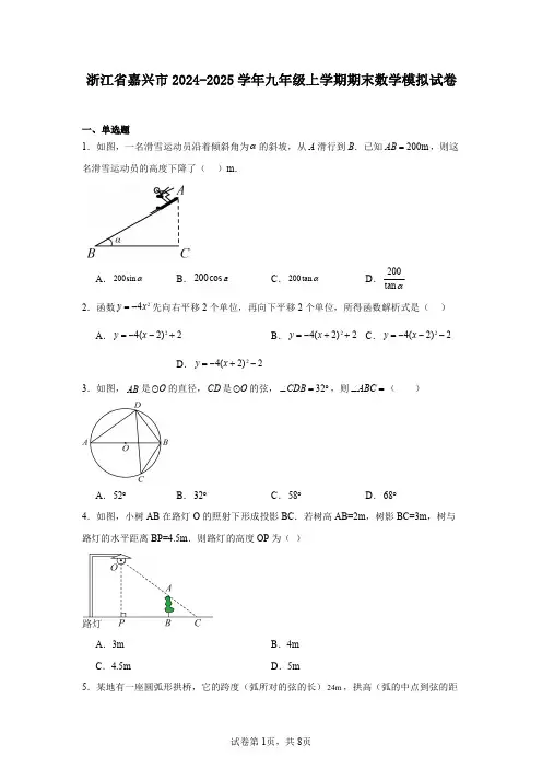 浙江省嘉兴市2024-2025学年九年级上学期期末数学模拟试卷