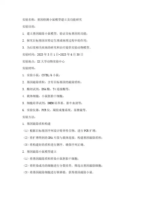 基因检测小鼠实验报告