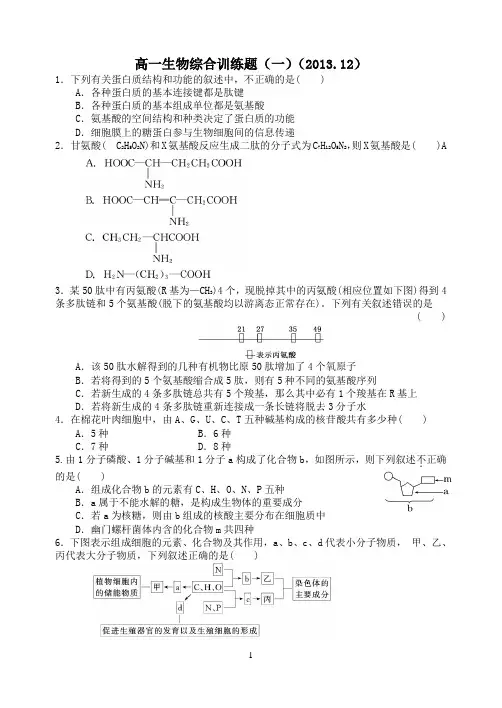 潍坊一中学案高一生物综合训练题(新)