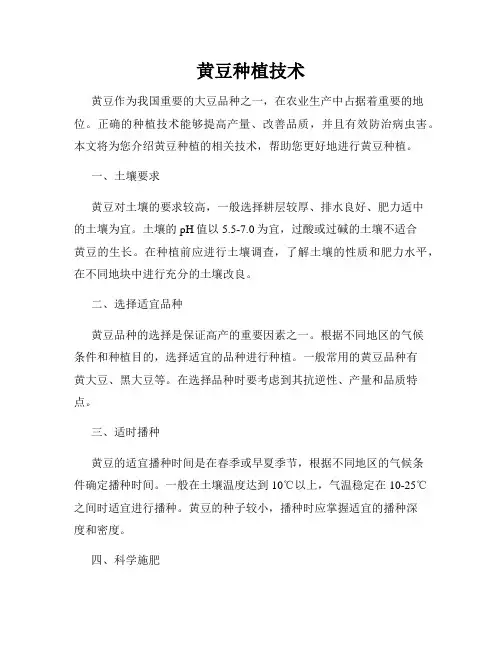黄豆种植技术