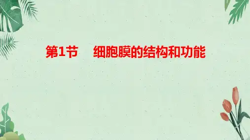 年新教材必修1第3章第1节-细胞膜的结构和功能课件(30张PPT)(完美版课件)