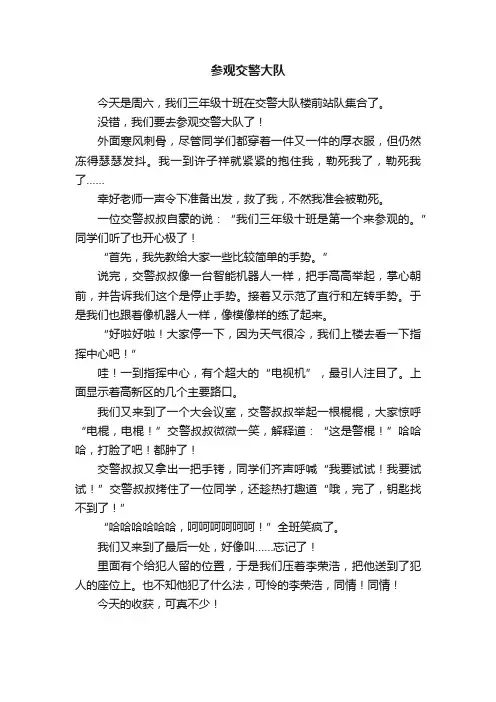 参观交警大队