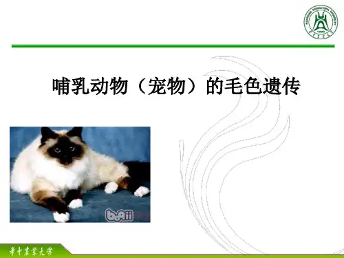 哺乳动物毛色遗传