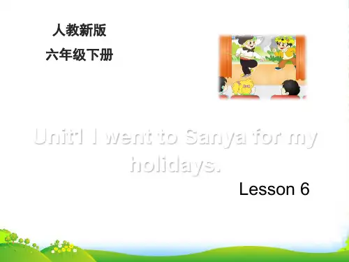 新人教精通版六年级英语下册：Lesson6_教学课件